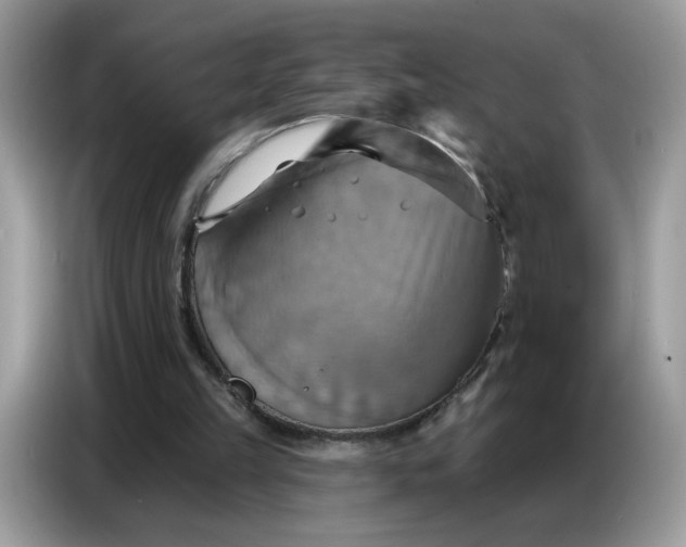 X0000086750149200704271717