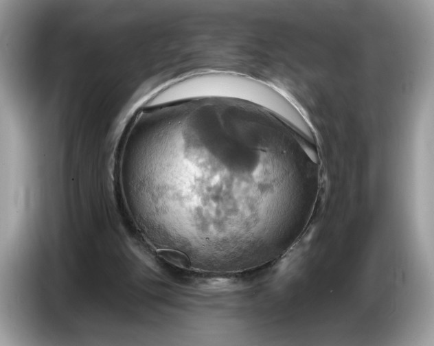 X0000086750151200704271717