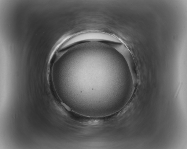 X0000086750152200704271717