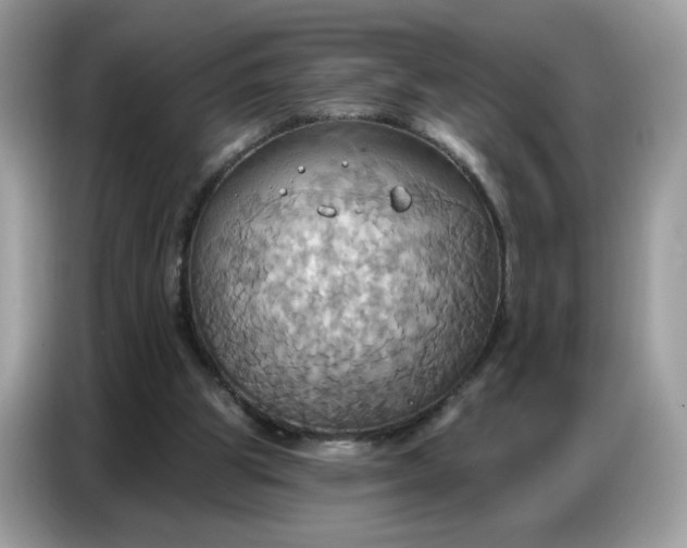 X0000086750153200704271717