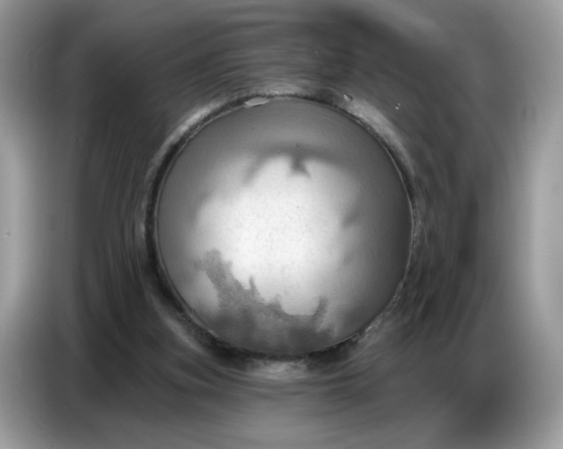 X0000086750155200704271717