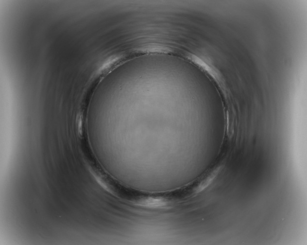 X0000086750157200704271717