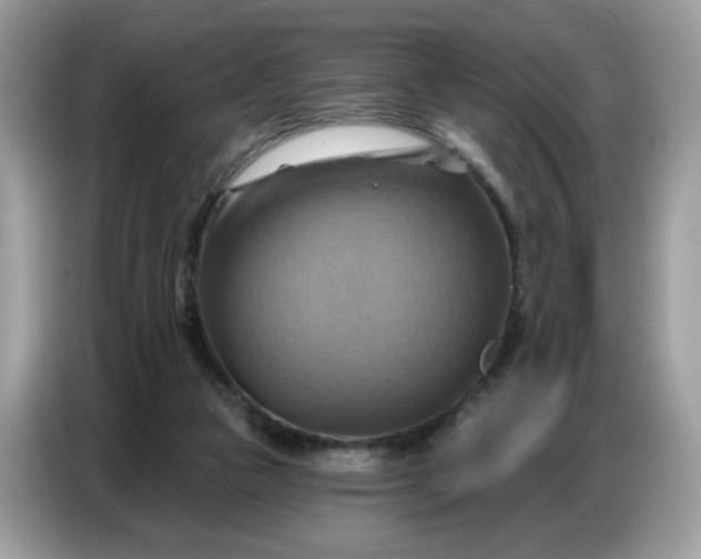 X0000086750161200704271717