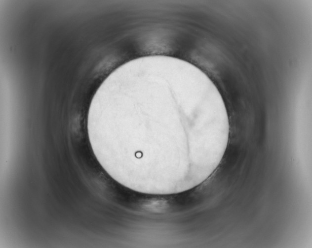 X0000086750162200704271717