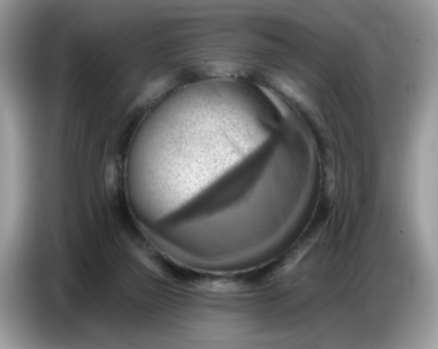 X0000086750165200704271717