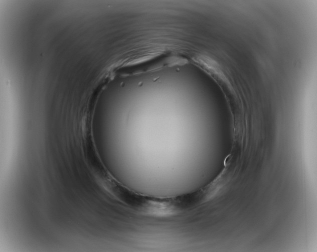 X0000086750167200704271717