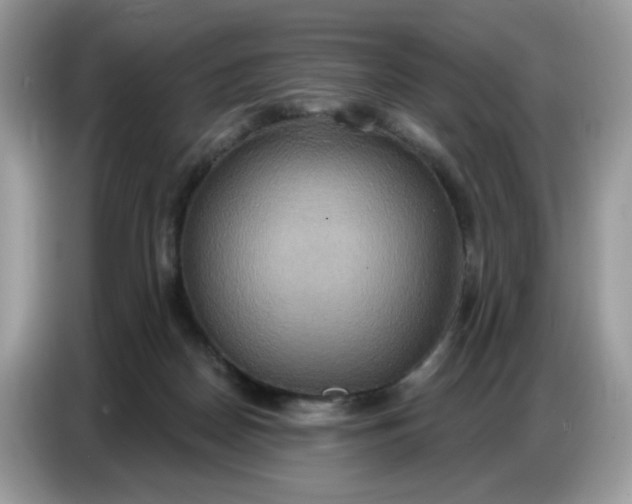 X0000086750170200704271717