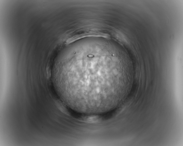 X0000086750173200704271717