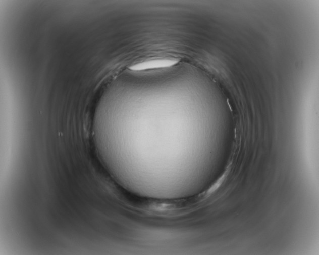 X0000086750174200704271717