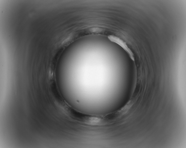 X0000086750176200704271717