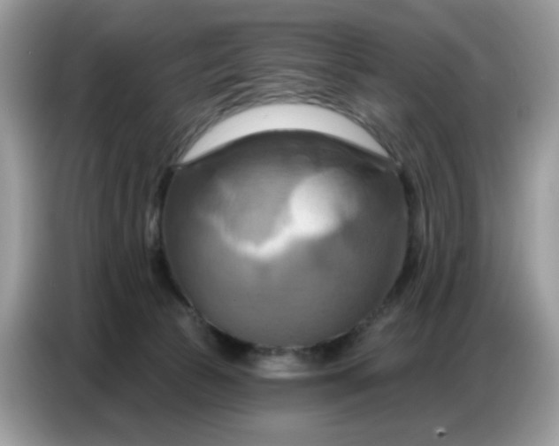 X0000086750177200704271717