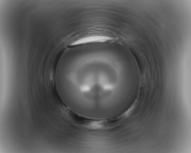 X0000086750178200704271717