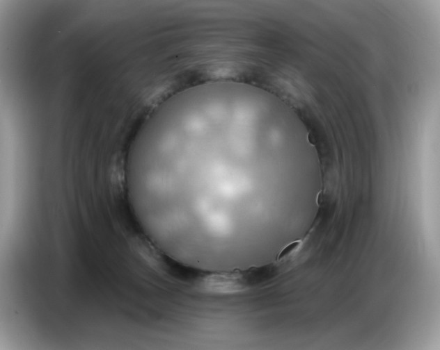 X0000086750179200704271717