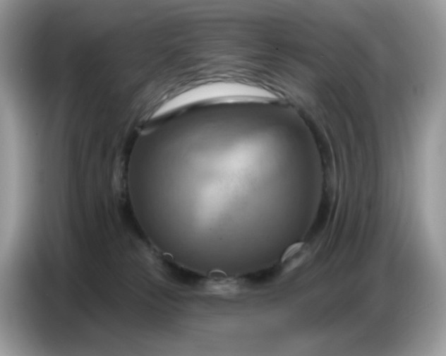 X0000086750181200704271717