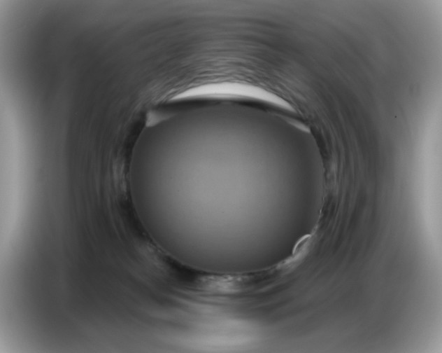 X0000086750182200704271717