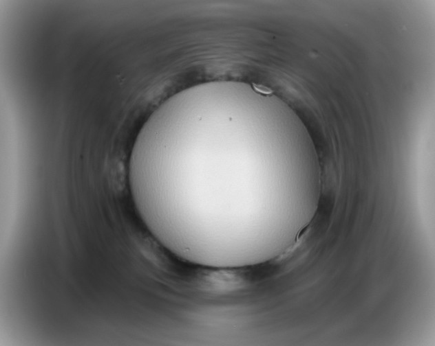 X0000086750183200704271717