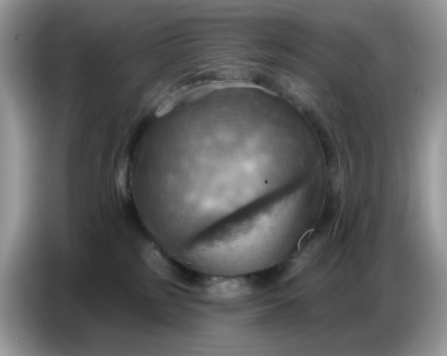 X0000086750185200704271717