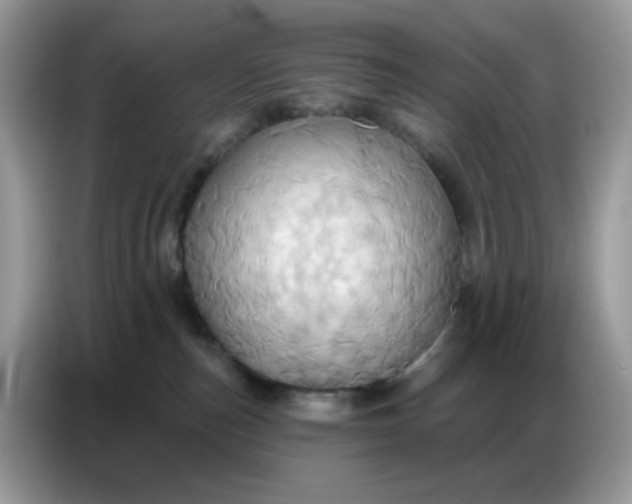 X0000086750187200704271717