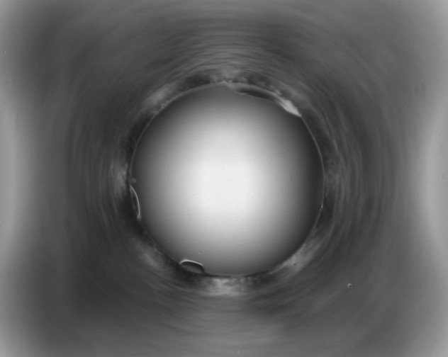 X0000086750188200704271717