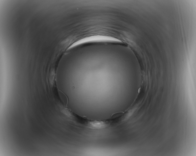 X0000086750189200704271717