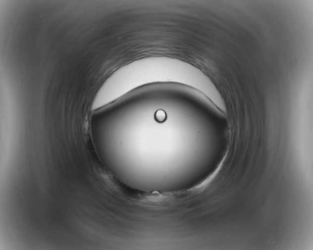 X0000086750190200704271717