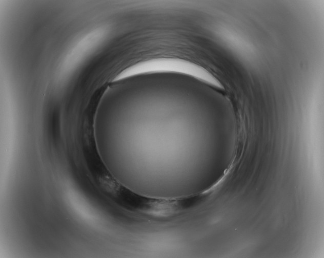 X0000086750191200704271718