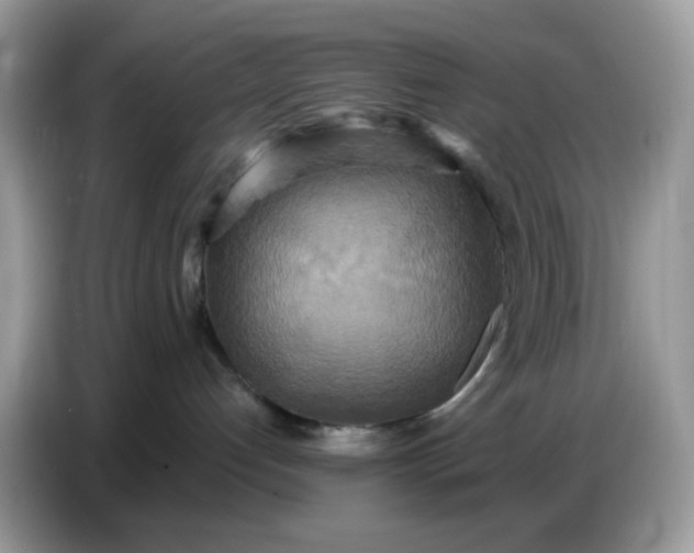 X0000086750192200704271718