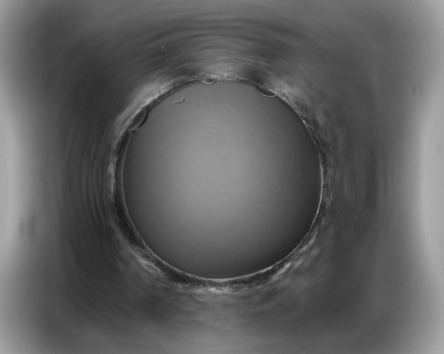 X0000086750194200704271717