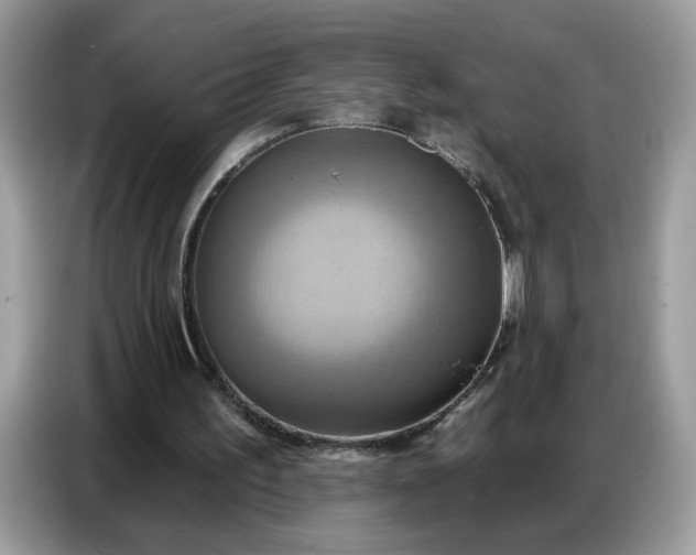 X0000086750195200704271717