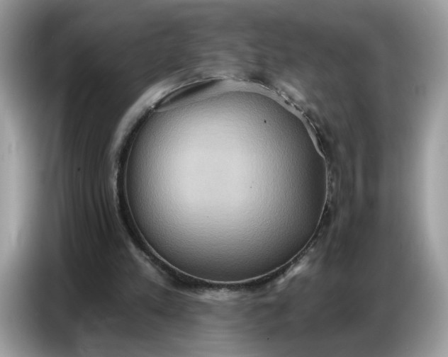 X0000086750197200704271717