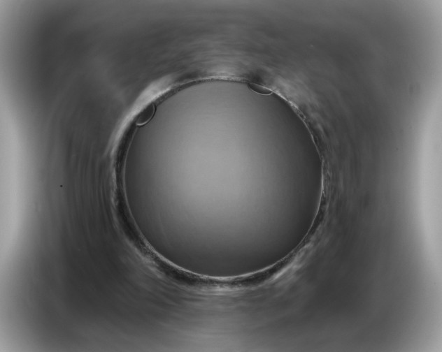 X0000086750198200704271717