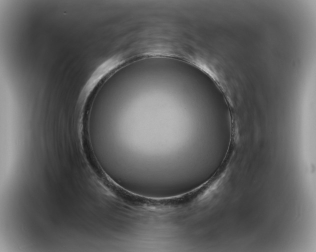 X0000086750199200704271717