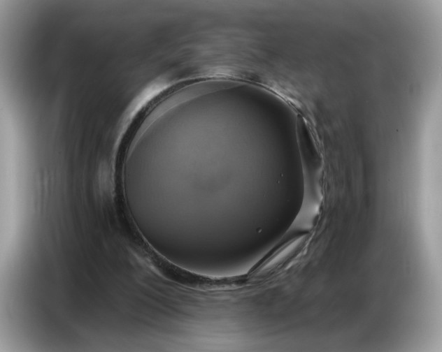 X0000086750200200704271717