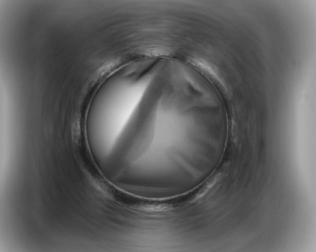 X0000086750202200704271717