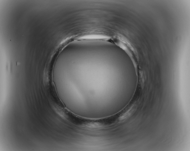 X0000086750203200704271717