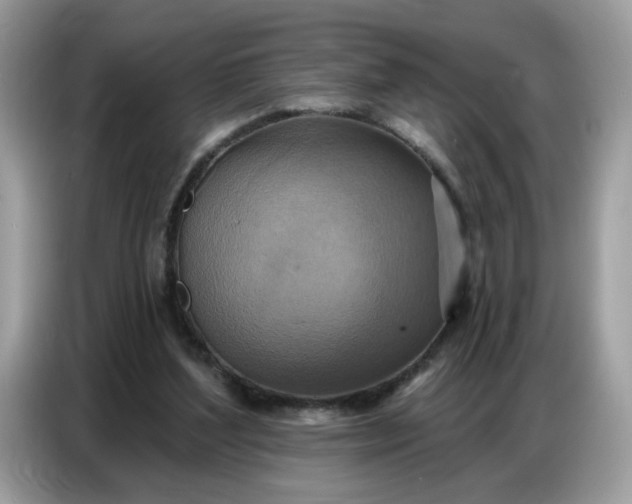 X0000086750204200704271717