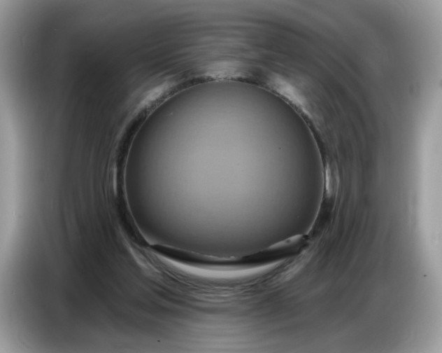 X0000086750205200704271717