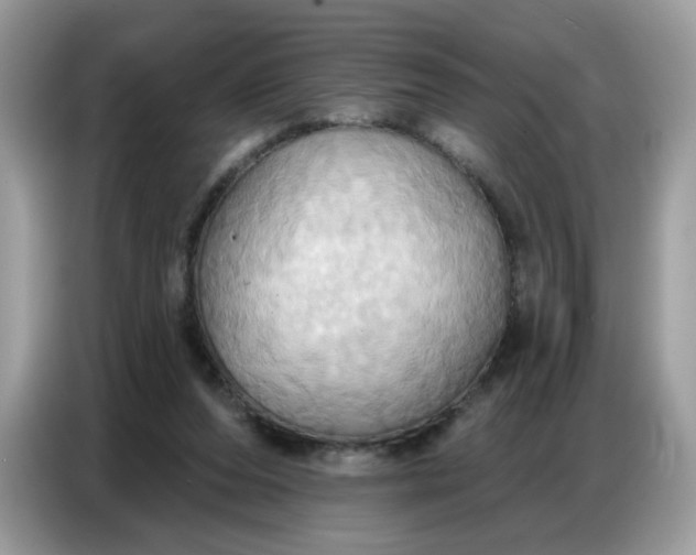 X0000086750208200704271717