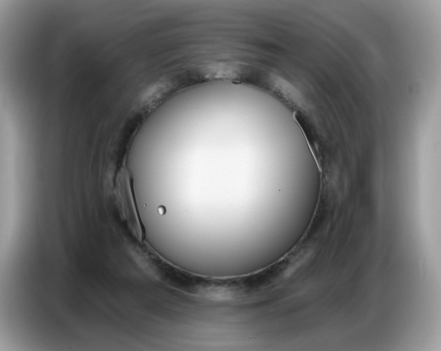 X0000086750209200704271717