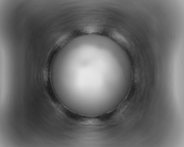 X0000086750210200704271717