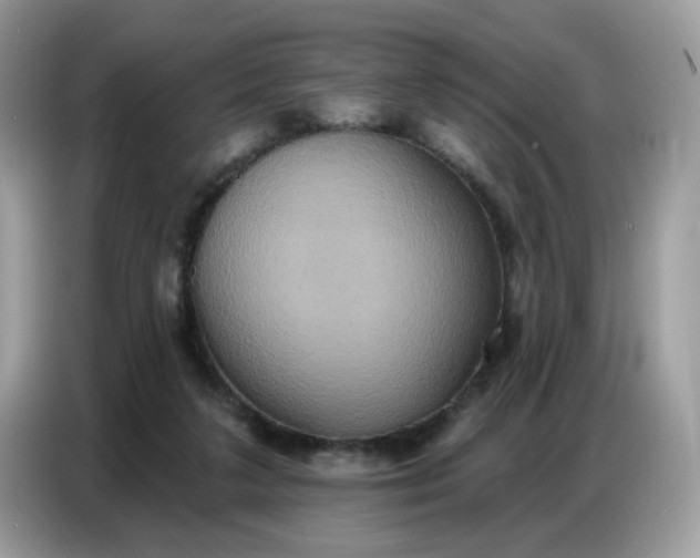 X0000086750211200704271717