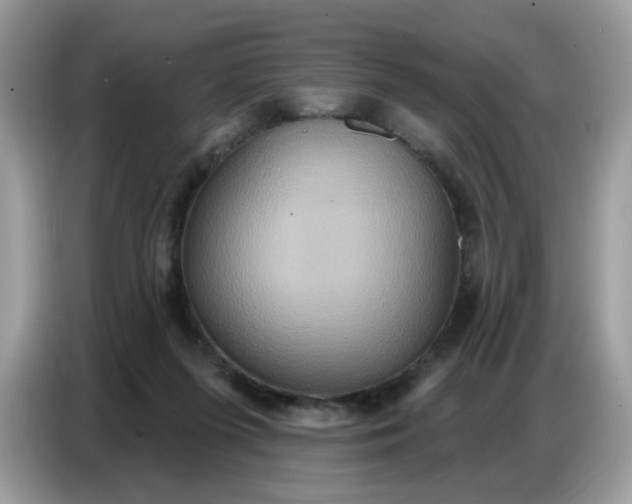 X0000086750215200704271717