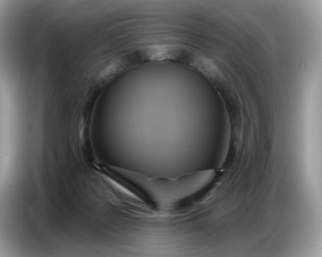 X0000086750219200704271717