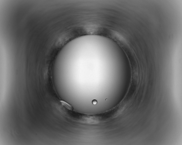 X0000086750221200704271717