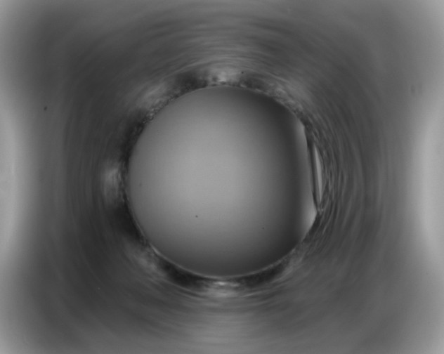 X0000086750222200704271717