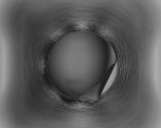 X0000086750223200704271717