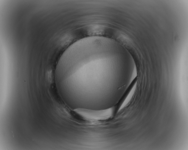 X0000086750224200704271717