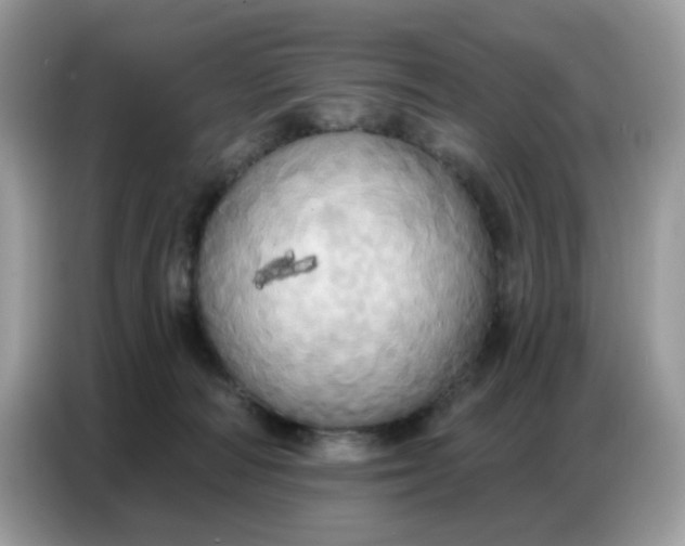 X0000086750226200704271716