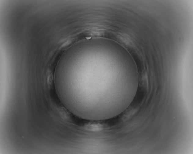 X0000086750228200704271716