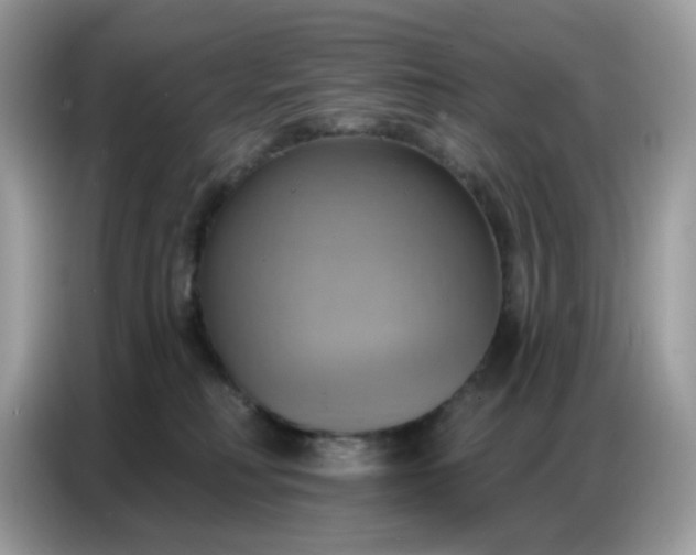 X0000086750230200704271716